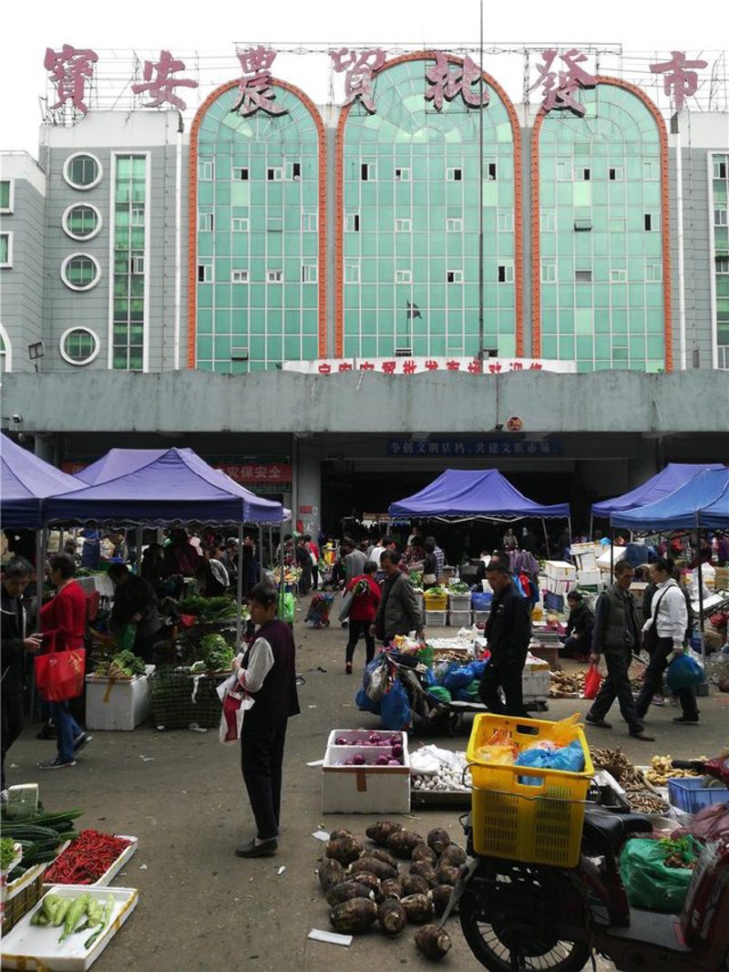 深圳宝安批发