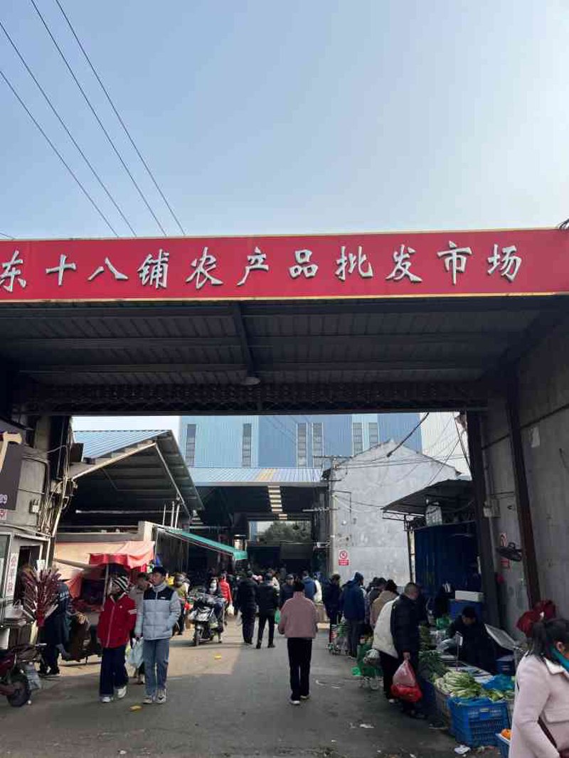 深圳食品贸易商行:行业动态与市场洞察